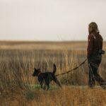 Köpek Tasmalı Yürüyüşe Nasıl Alıştırılır? (Çekiştirmeden Yürüme)