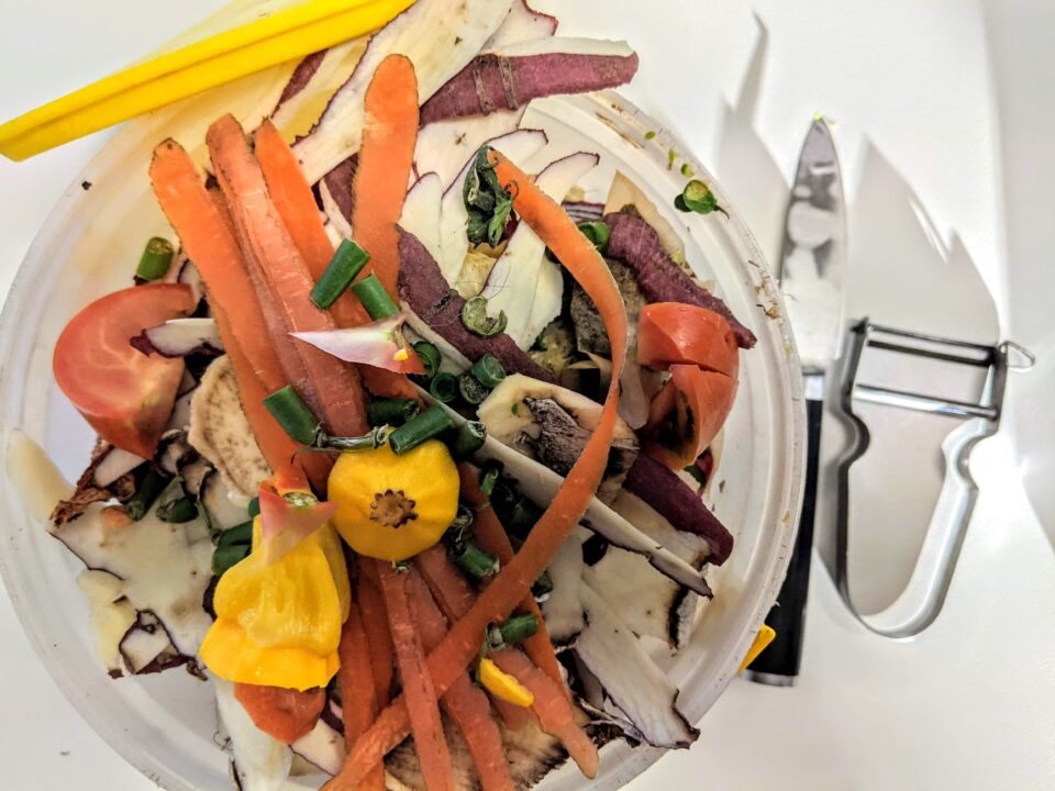 Sebze Suyu (Vegetable Stock) Ev Atıklarıyla Nasıl Hazırlanır?