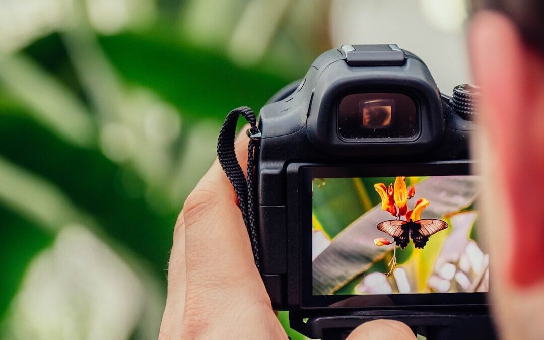 Dijital Fotoğrafçılığa Başlangıç: Enstantane, Diyafram ve ISO Nedir?