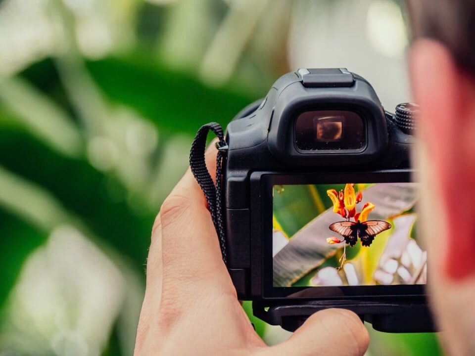 Dijital Fotoğrafçılığa Başlangıç: Enstantane, Diyafram ve ISO Nedir?