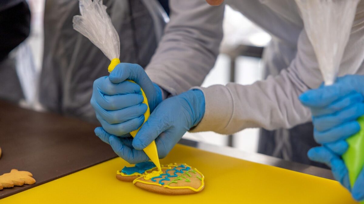 Evde Kurabiye ve Pasta Süsleme (Royal Icing/Şeker Hamuru)
